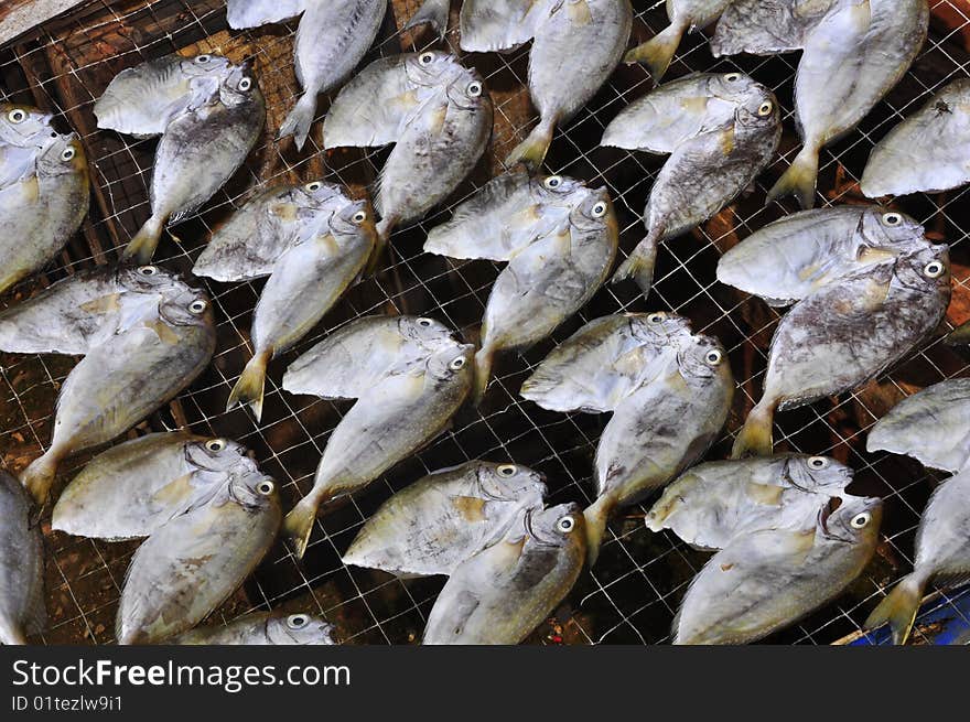 Dried Fish