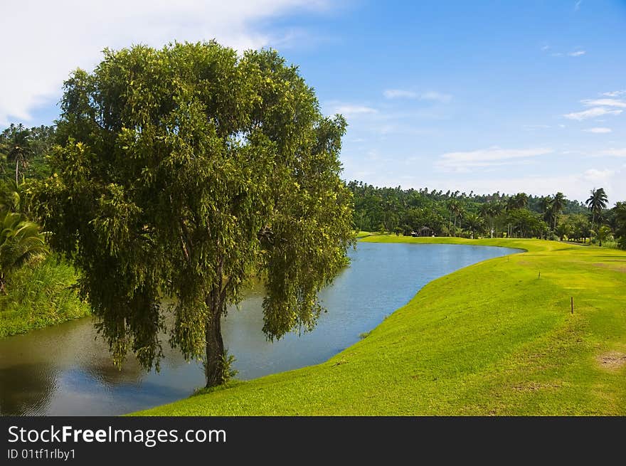 Golf Greens