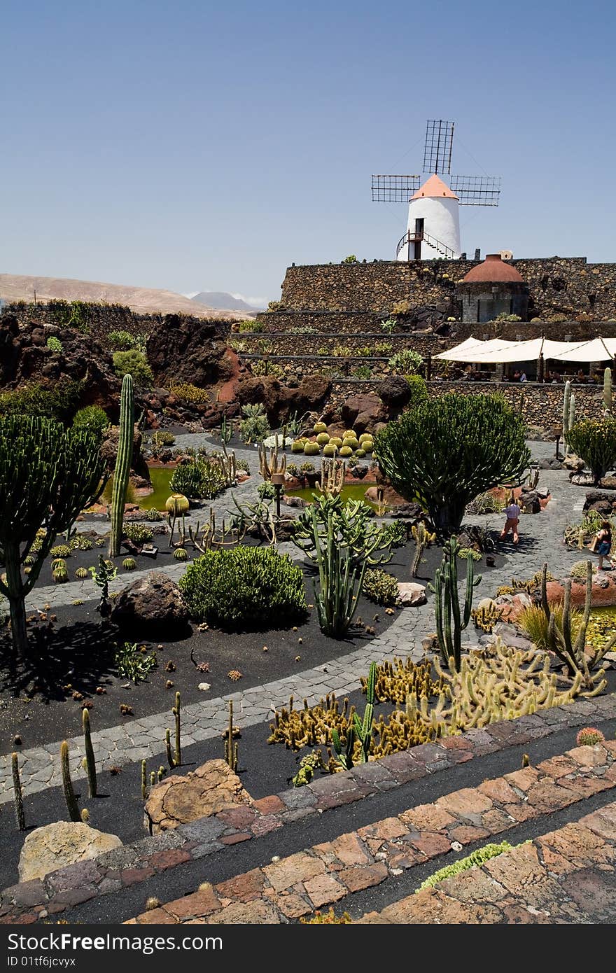 This cactus garden can be found on the Canary isle of Lanzarote. It is designed by a famous architect César Manrique who died in 1992. It contains sever thousands different cactus varieties from al over the world. A windmill and cafeteria oversees the huge garden.