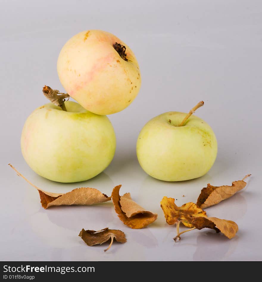 Three small apples and dried up leaves on light background