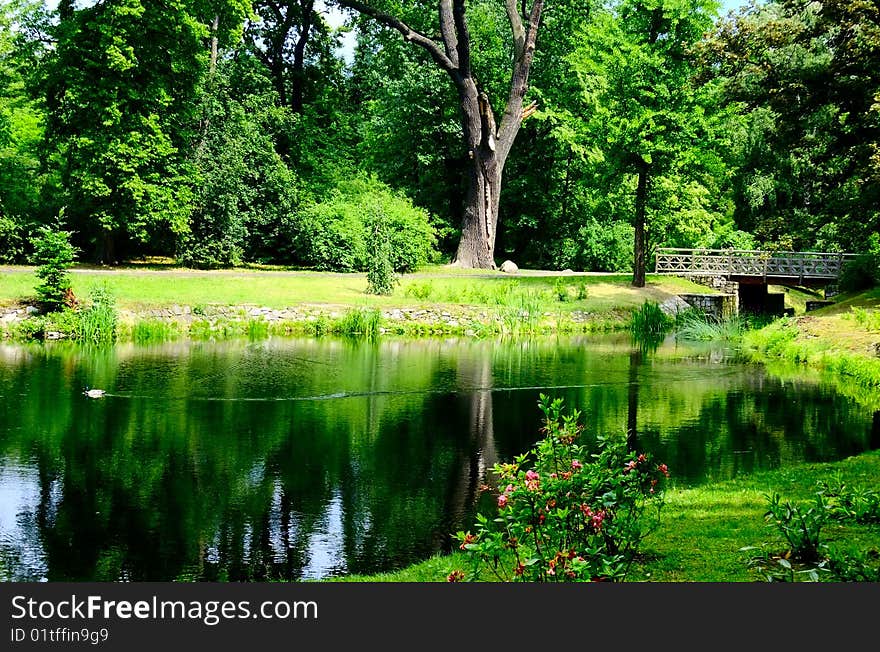 Japanese garden