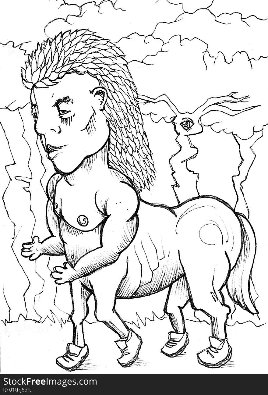 Centaur Mullet black and white