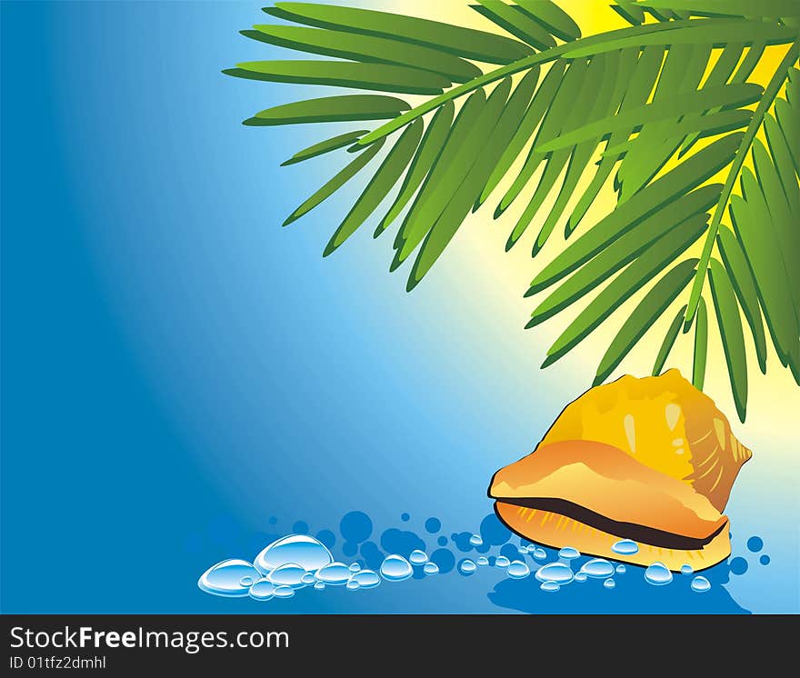 Cockleshell among the water and branches of palms. Vector illustration. Cockleshell among the water and branches of palms. Vector illustration