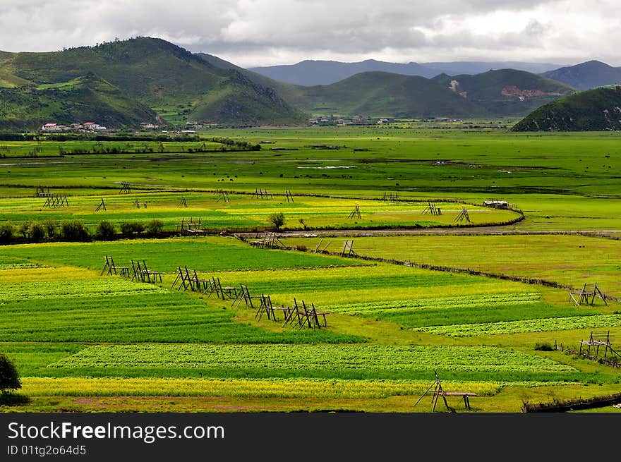 Shangri-La Ranch scenery