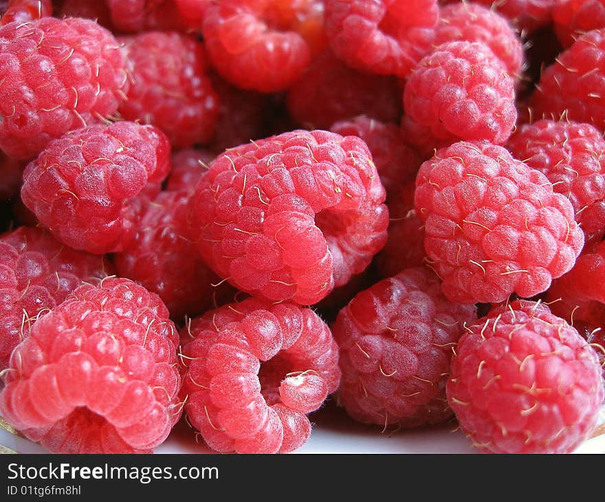 Berries of raspberry