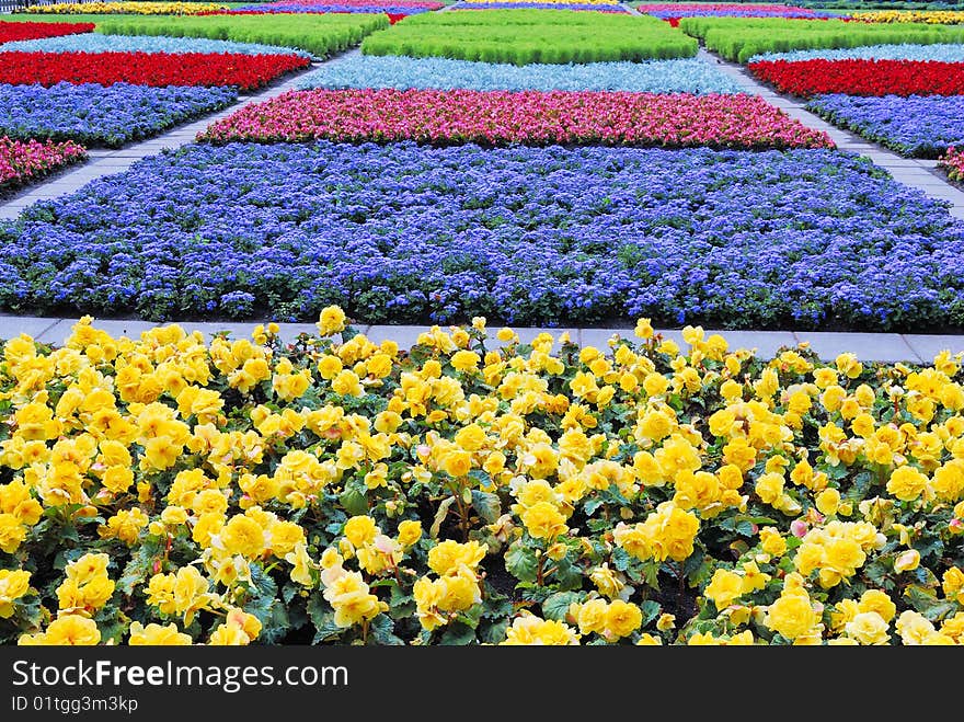 Green, blue and yellow vegetative background without focus objects