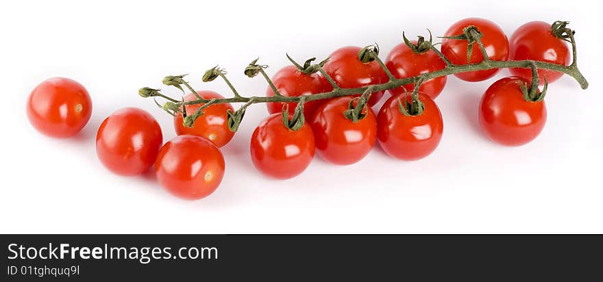 Cherry tomatoes on the branch on a white background