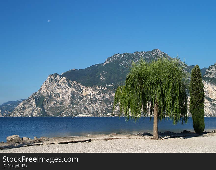 Scenery of Lake Garda with tree, Trentino, Italy. Scenery of Lake Garda with tree, Trentino, Italy