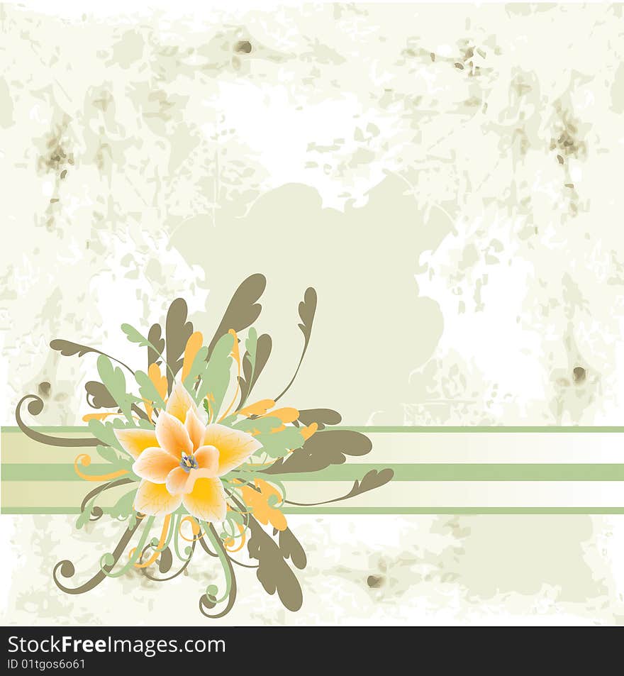 Floral card, flower background vector