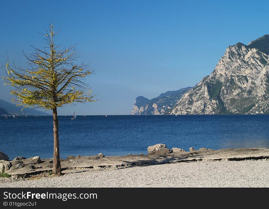 Scenery of Lake Garda with tree, Trentino, Italy. Scenery of Lake Garda with tree, Trentino, Italy