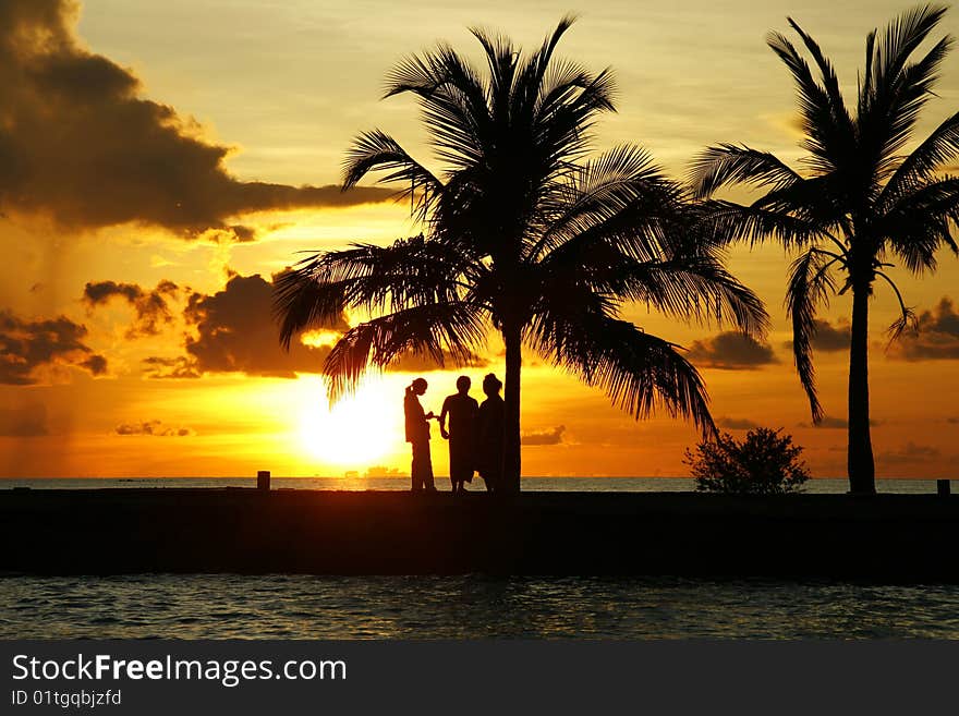 Sunset with palm trees on te Maldives. Sunset with palm trees on te Maldives