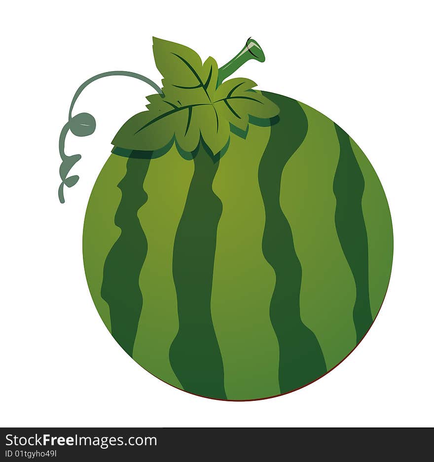 Watermelon