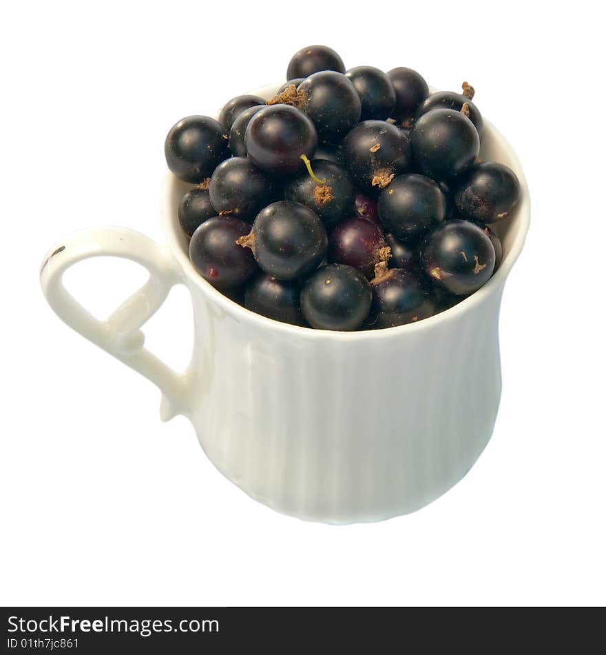 Black currant in a cup