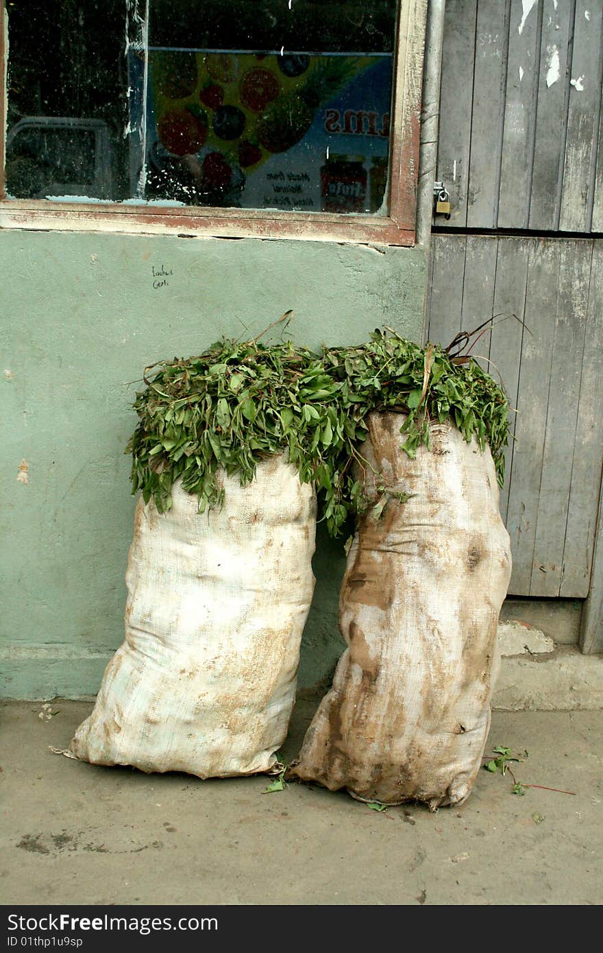 Sacks of leaves