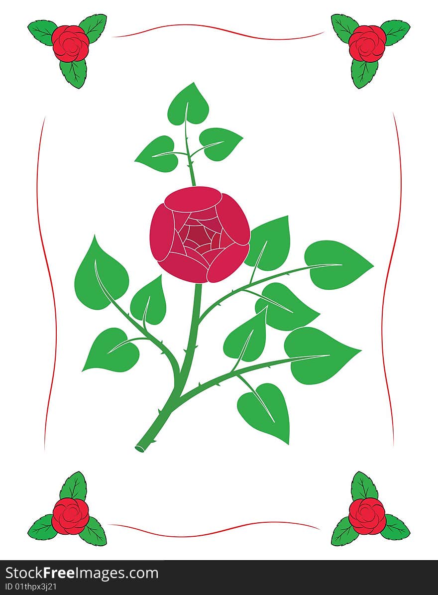 On a white background a dranch of a rose in the center of a framework. On a white background a dranch of a rose in the center of a framework