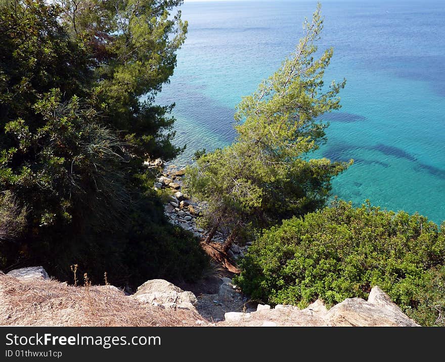 View on a sea coast in summer