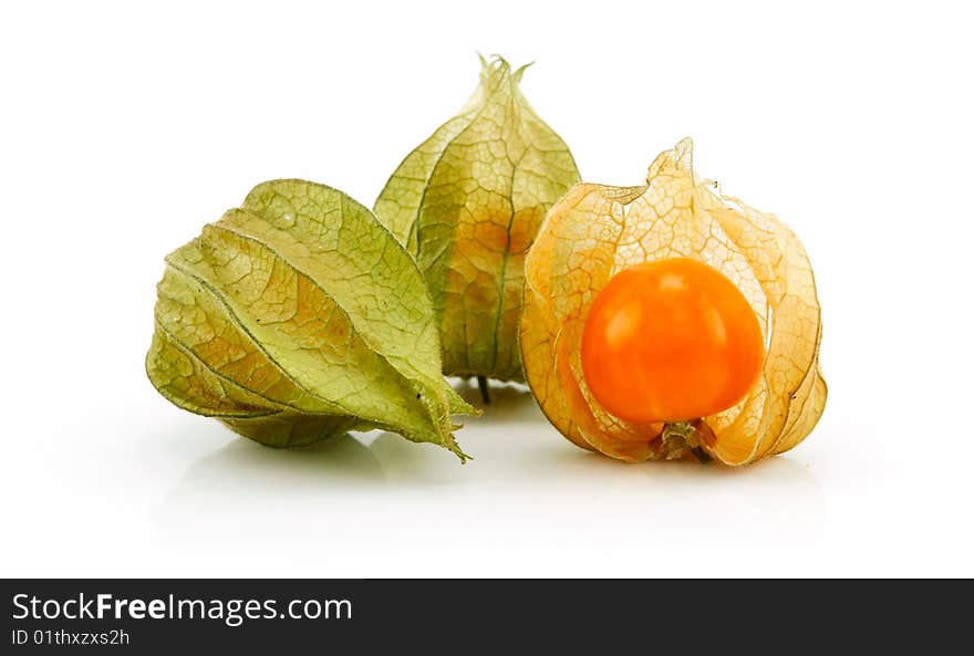 Cape Gooseberry (Physalis) Isolated on White