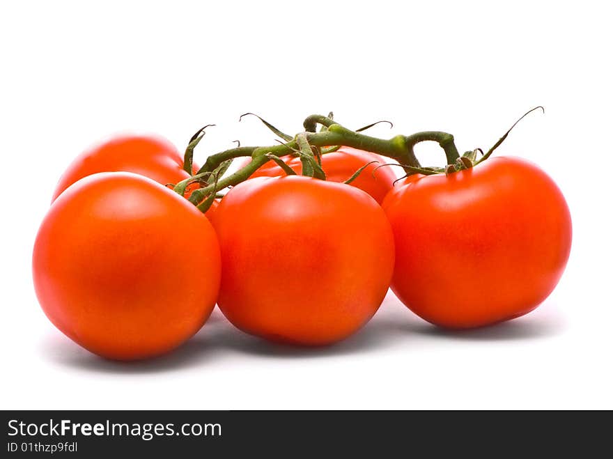 Fresh tomatoes. Macro studio isolated on white.