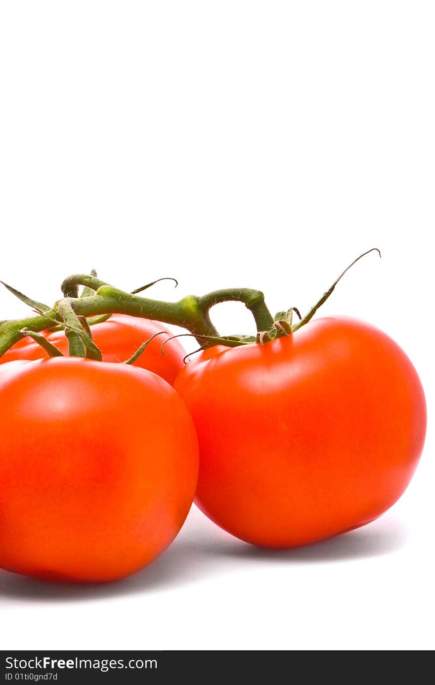 Fresh tomatoes. Macro studio isolated on white.