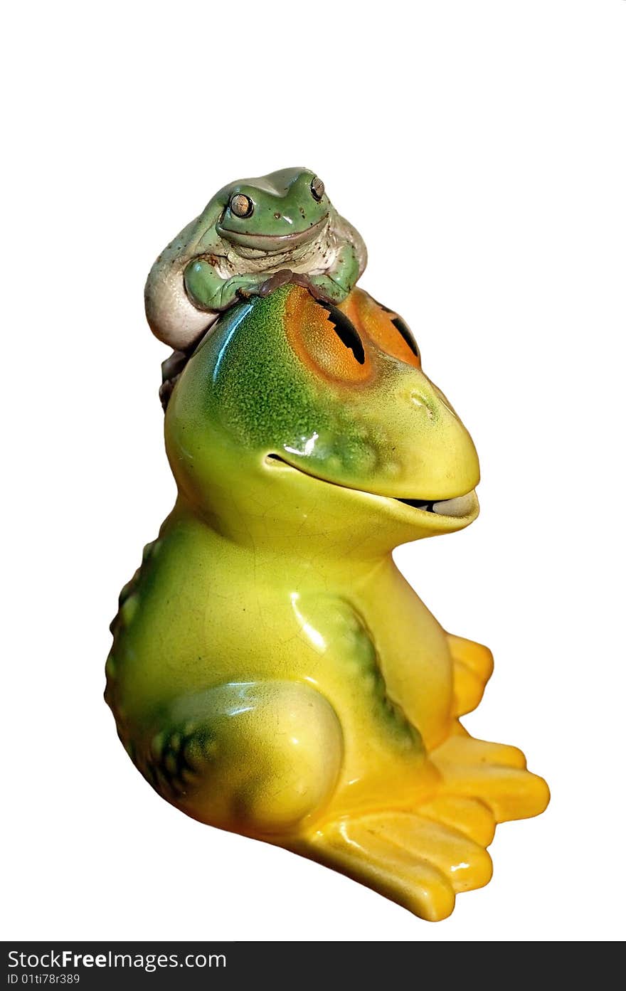 Real frog on ceramic frog