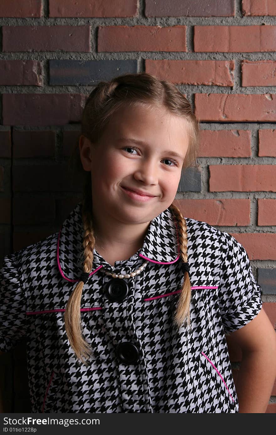 Natural light portrait of girl with braids. Natural light portrait of girl with braids