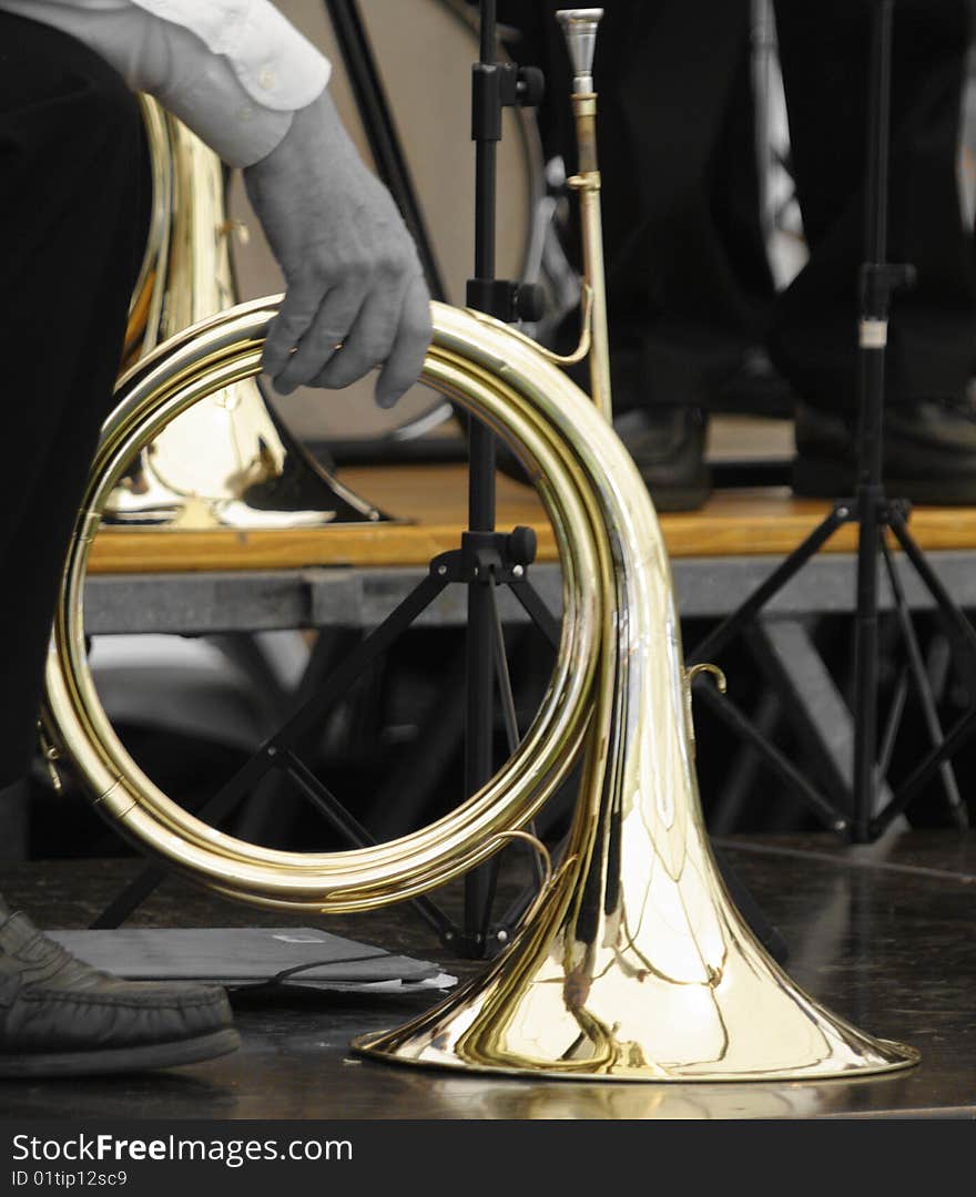 Shiny French Horn