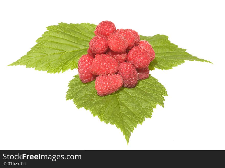 Raspberries with green leaf