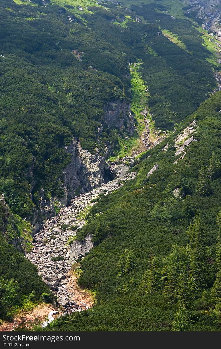 Neighbourhoods of Morskie Oko in The Tatra National Park. Neighbourhoods of Morskie Oko in The Tatra National Park.