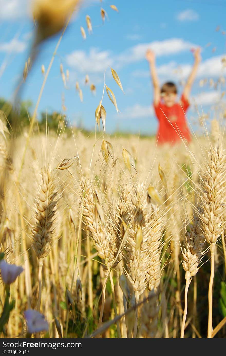 Happy boy in yellow wheat field at scenic rural background. Happy boy in yellow wheat field at scenic rural background