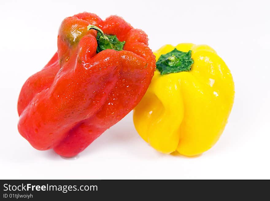 Pair of colored peppers on a white background. Pair of colored peppers on a white background