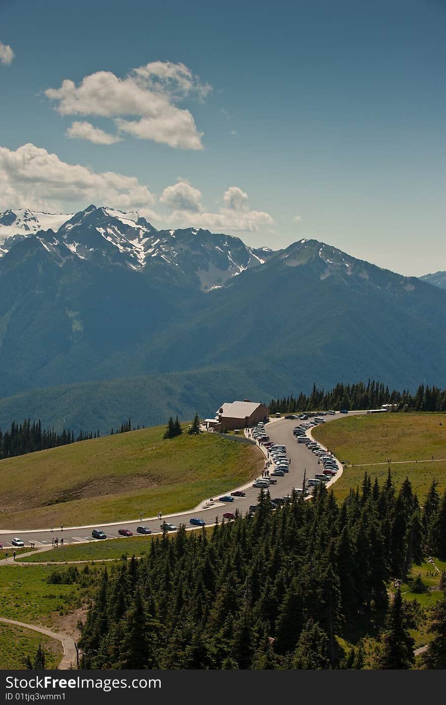 Hurricane Ridge, Olympic National Park