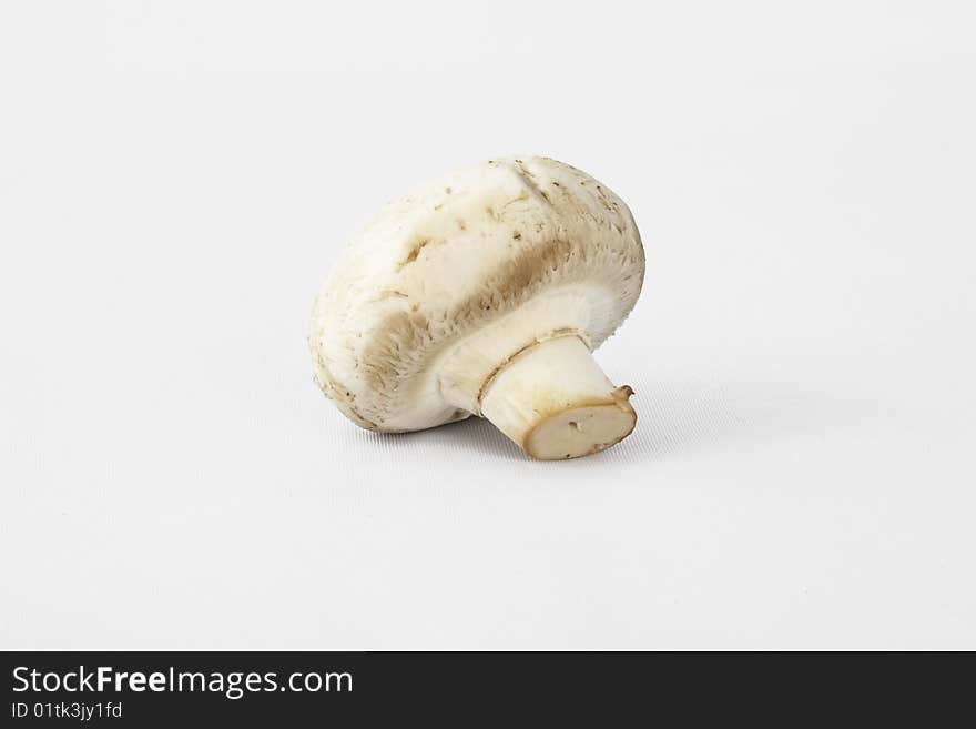 Single edible, white, cooking mushroom. Single edible, white, cooking mushroom