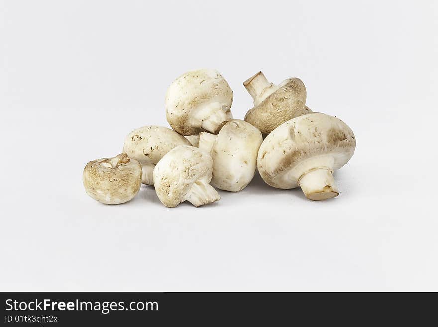 Several edible, white, cooking mushroom. Several edible, white, cooking mushroom