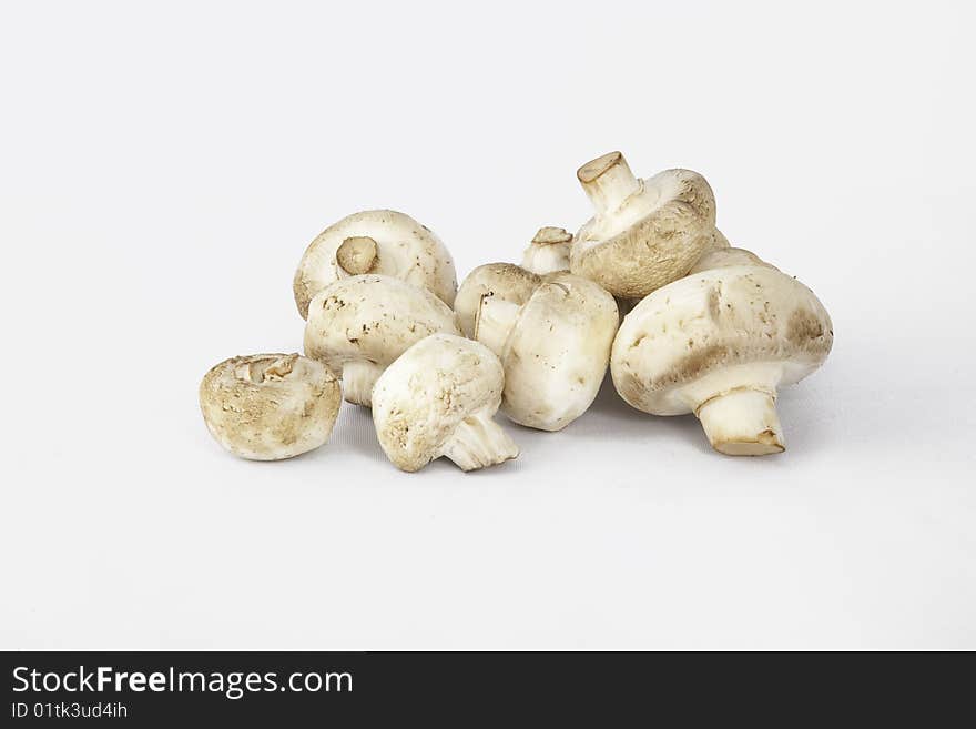 Several edible, white, cooking mushroom. Several edible, white, cooking mushroom