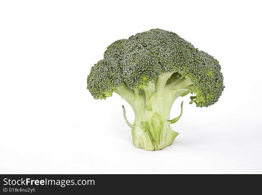 Single broccoli florette showing the stem. Single broccoli florette showing the stem