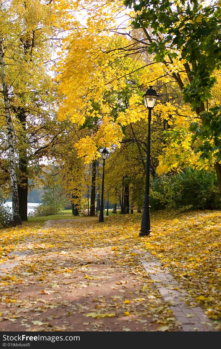 Autumn colors in the park, landscape