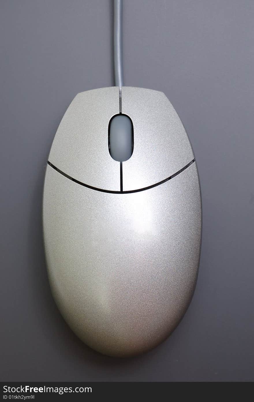 Mouse