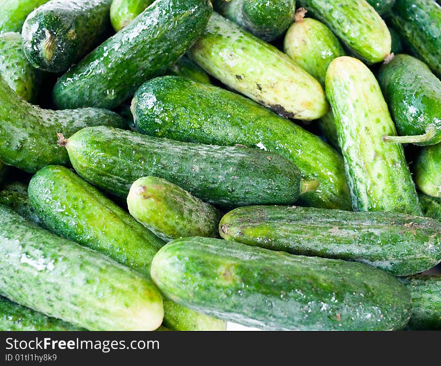 Green Cucumbers.