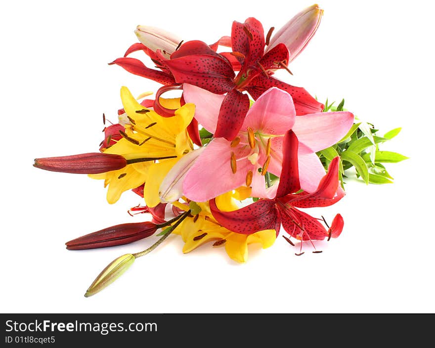 The lily bouquet on a white background, is isolated. The lily bouquet on a white background, is isolated.