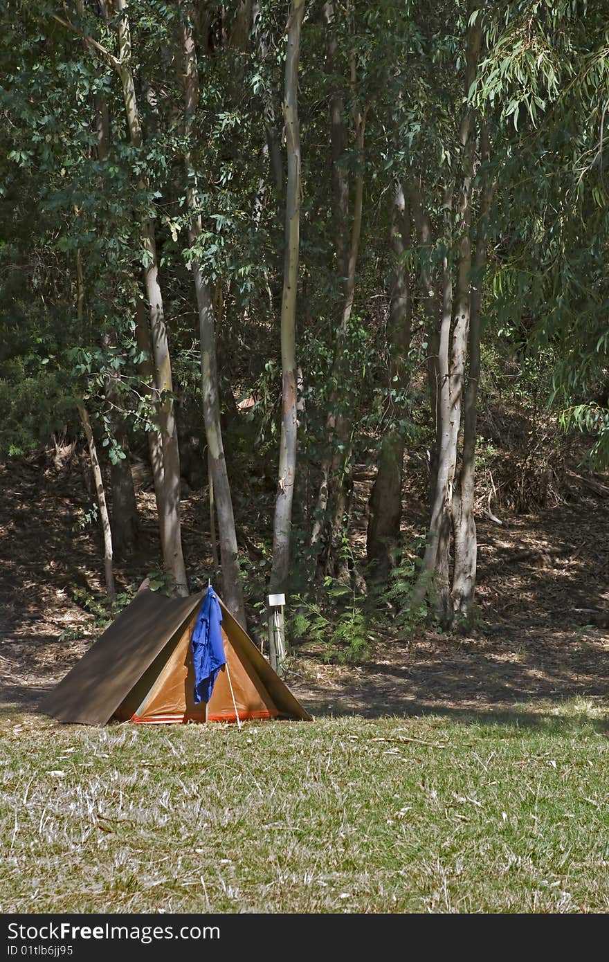 A small tent in a campsite