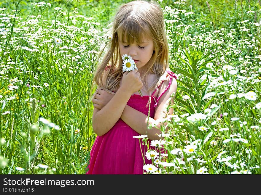 Little blond girl in a wild daisy field. Little blond girl in a wild daisy field.