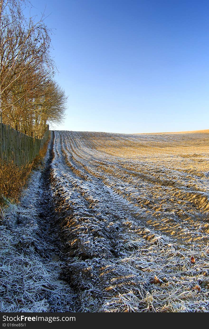 Winter Landscape With Trees Snow And Fence