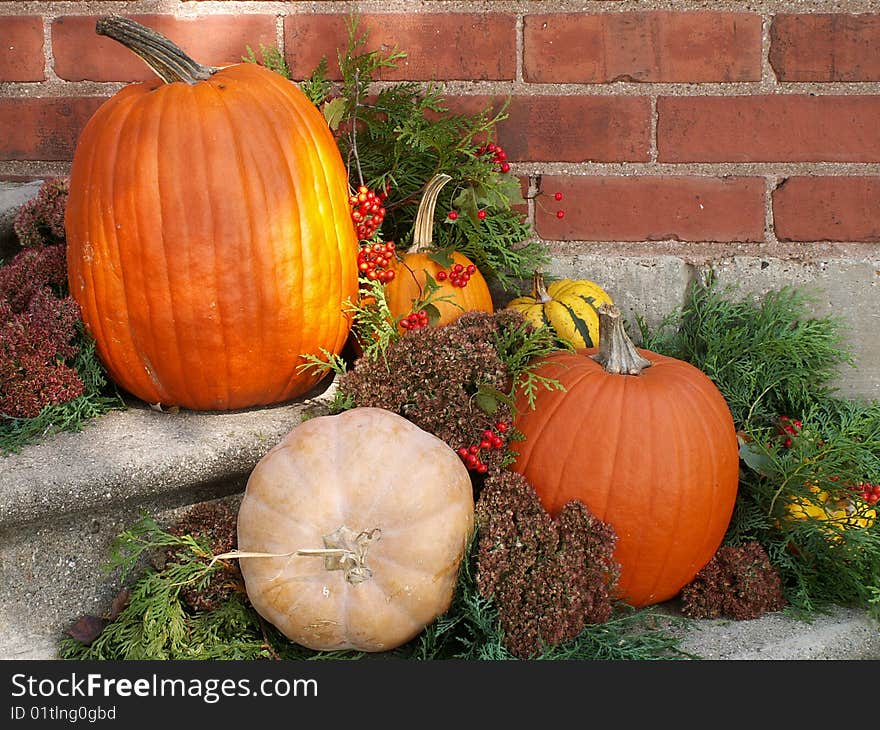 Falltime display of pumpkins, gourds, flowers, and greenery against a brick wall. Falltime display of pumpkins, gourds, flowers, and greenery against a brick wall.