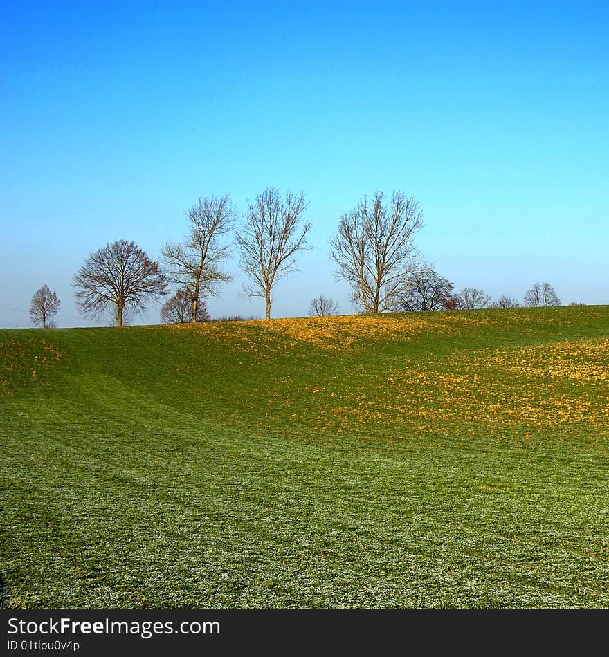 Landscape With Tree And Blue Sky