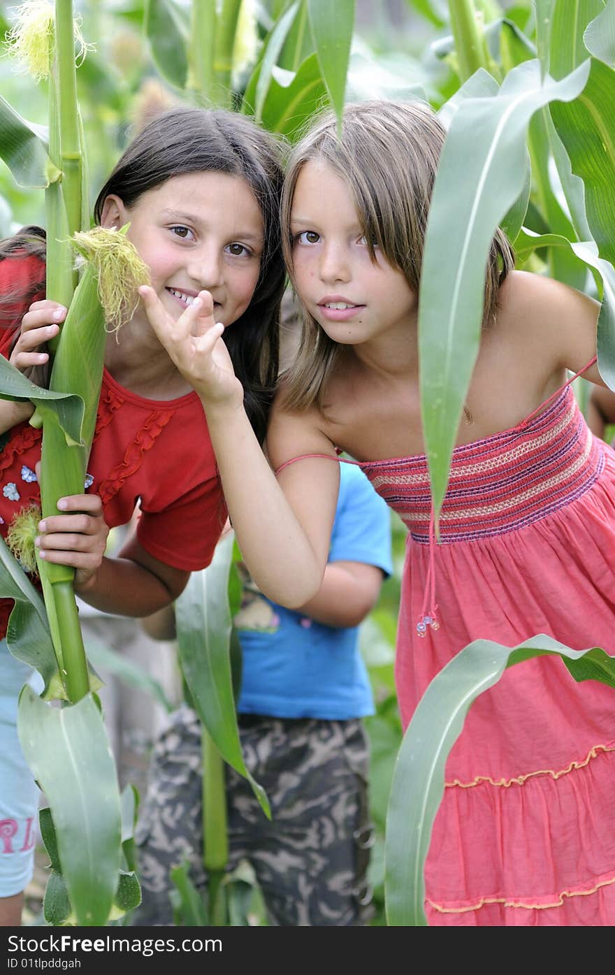 Girls In Corn Field