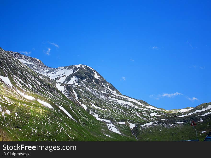 Mountain pine forest and blue sky