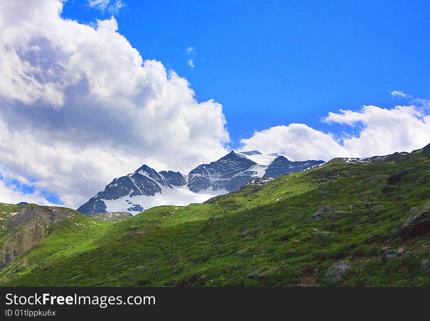 Mountain pine forest and blue sky