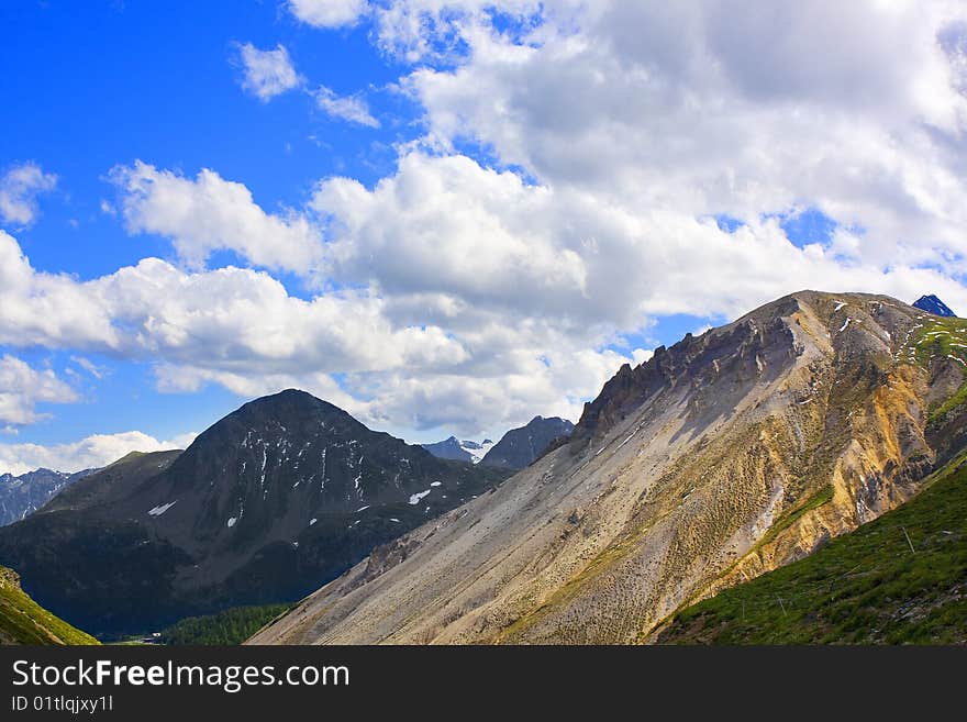 Mountain pine forest and blue sky