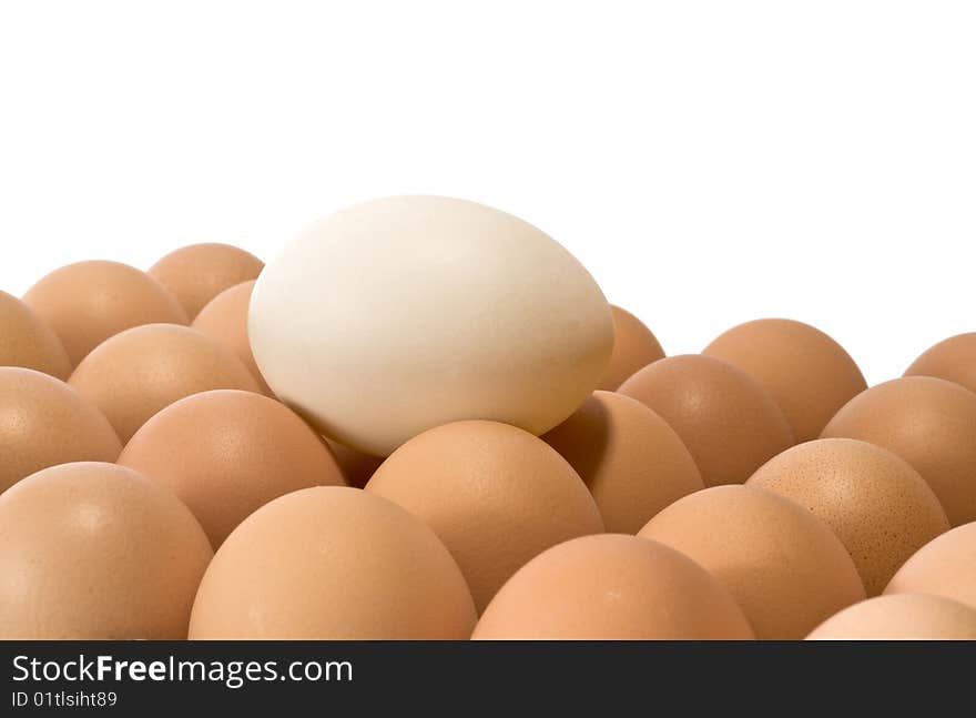 Different eggs on a white background