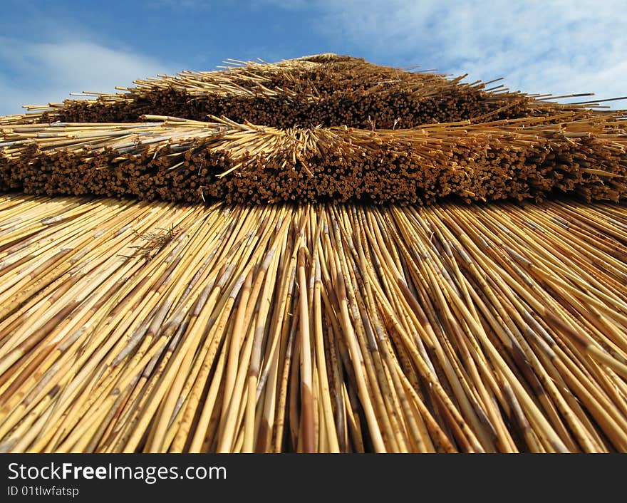 Thatched Roof Of Summer House